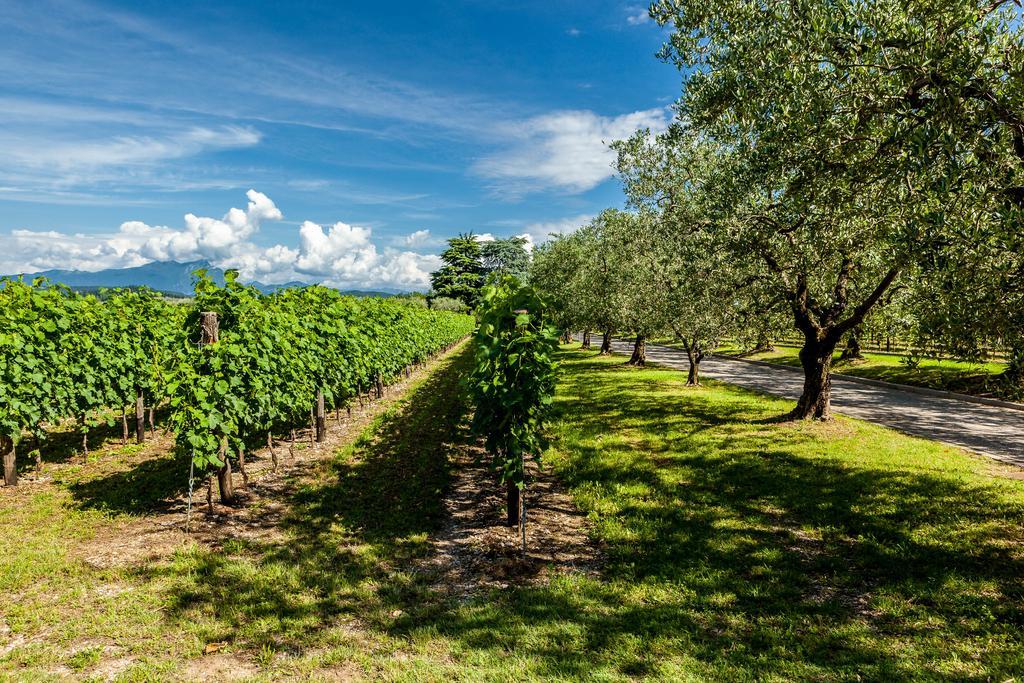 Quercia Belvedere Relais Bardolino Zewnętrze zdjęcie